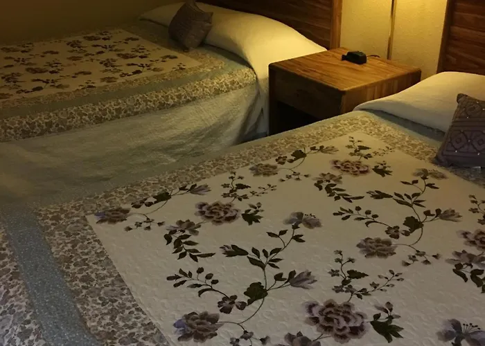 Buffalo Hotel 4*